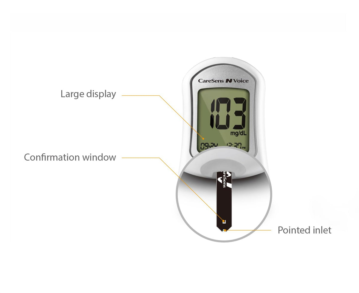 Blood Glucose Monitoring System with Talking Meter, 300 Test Strips, 100 Lancets, Lancing Device and Carrying Case B815241