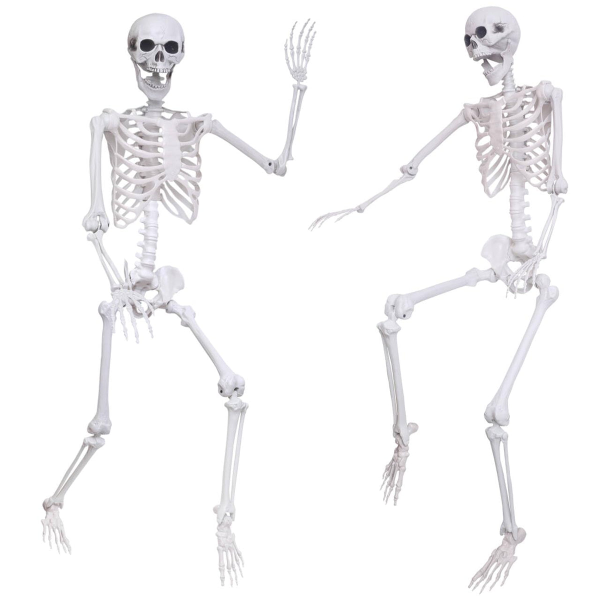 5.4Ft 2PCS Posable Skeleton with Movable Joints Z812617