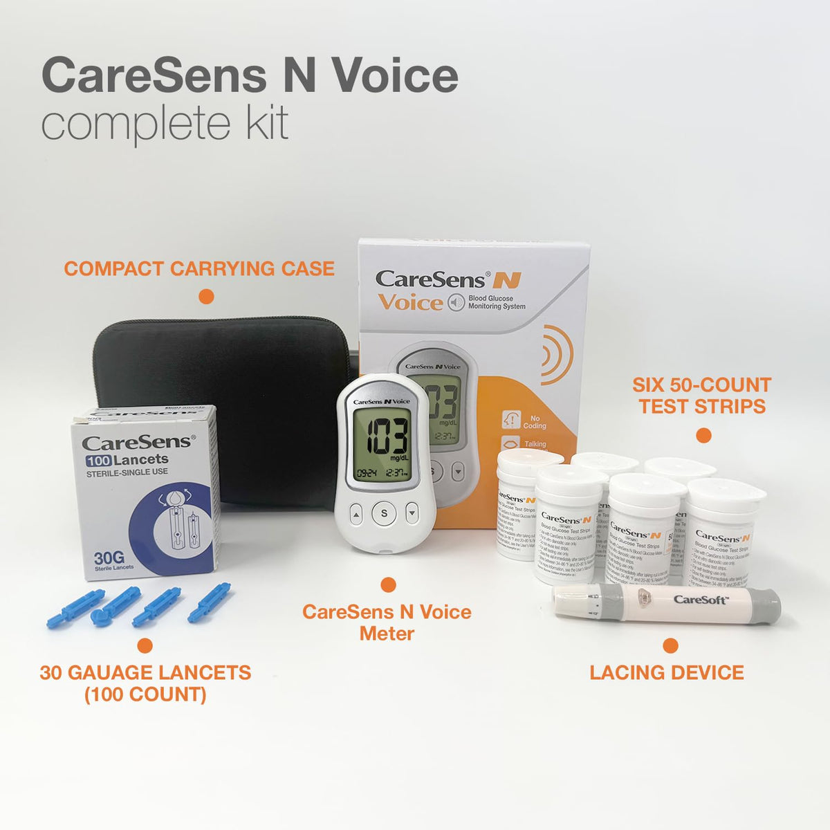 Blood Glucose Monitoring System with Talking Meter, 300 Test Strips, 100 Lancets, Lancing Device and Carrying Case B815241