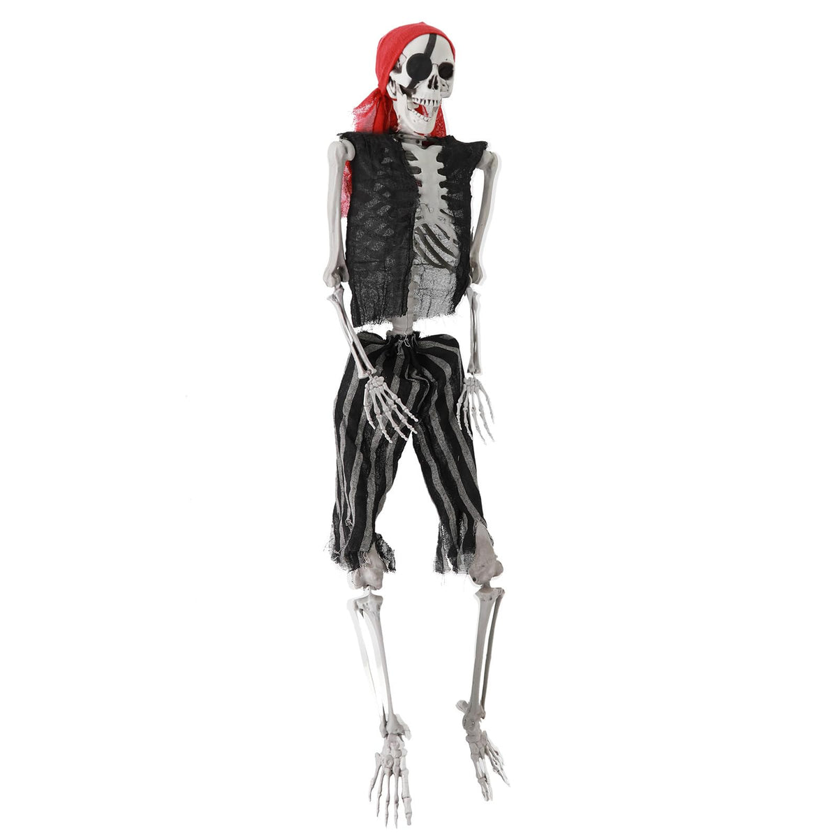 Life Size Posable Skeleton with Movable Joints B813866
