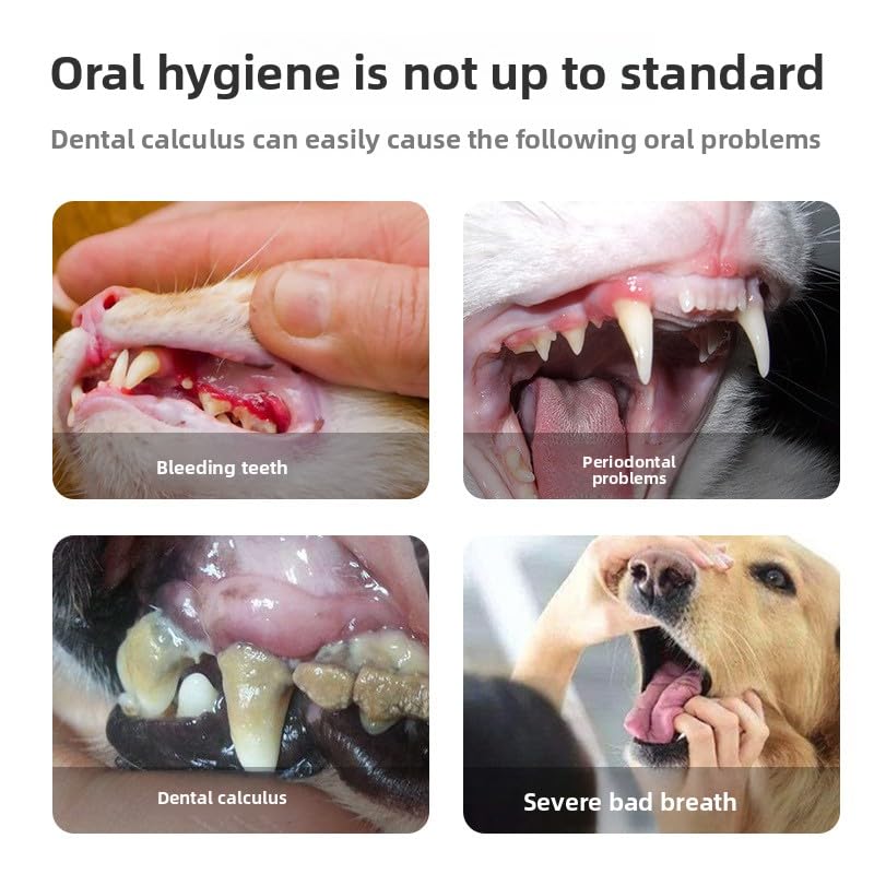 Pet Teeth Cleaning Pen 2-Pack Twist-Up Toothbrush Gel Kits with 45-Degree Soft Brush Head Y30527