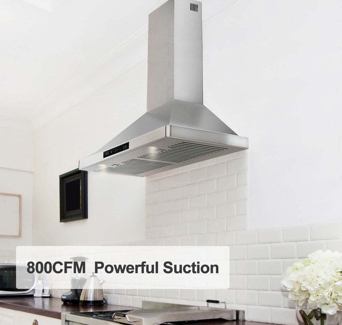 30 Inch Stainless Steel Wall Mount Range Hood F6136
