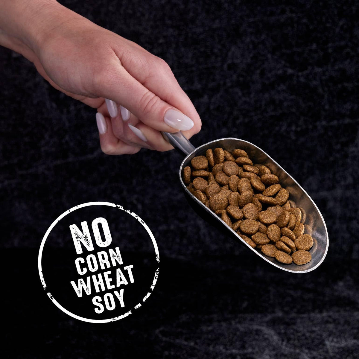 Grain Free High Protein Natural Dry Cat Food, Chicken, 10 lb O80691