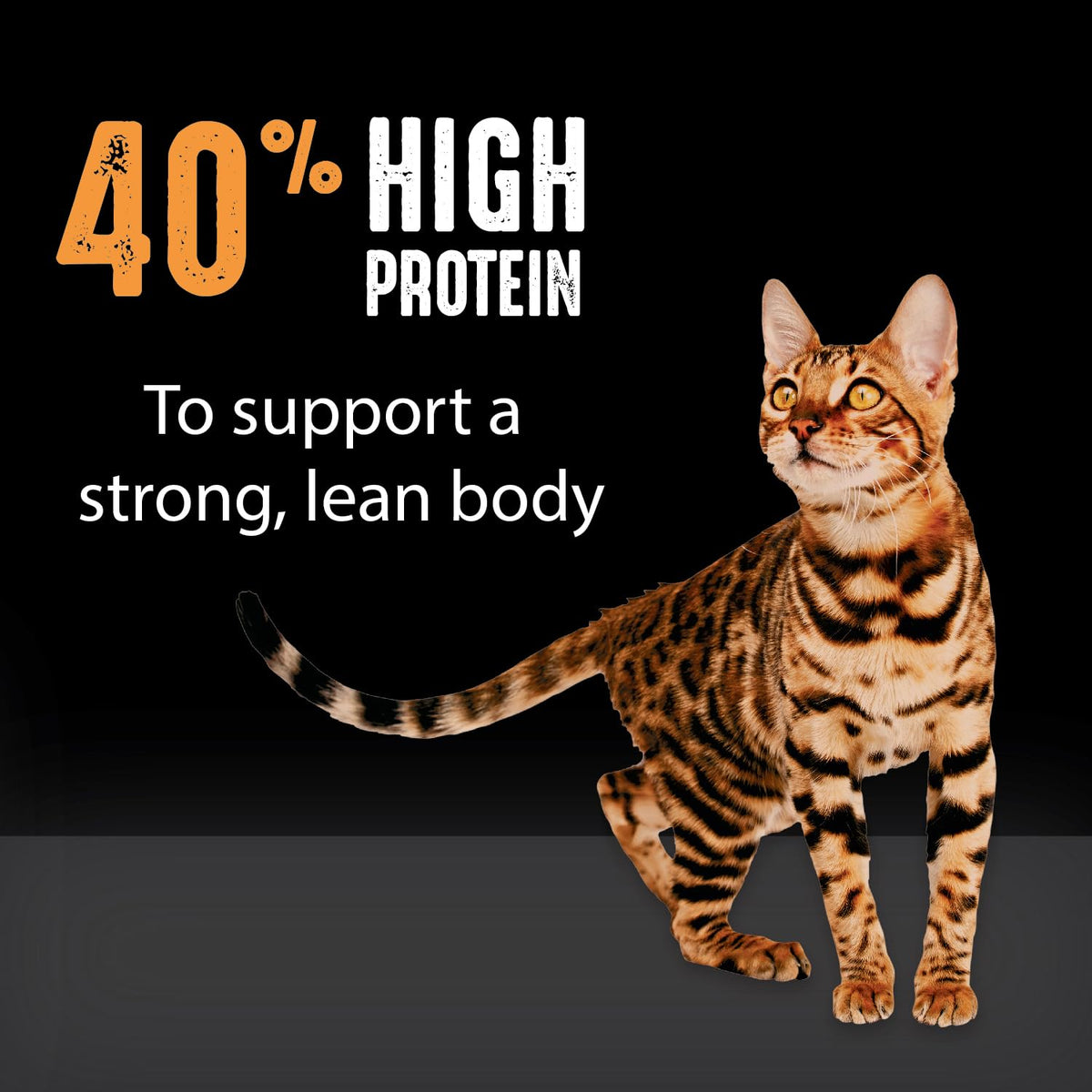 Grain Free High Protein Natural Dry Cat Food, Chicken, 10 lb O80691