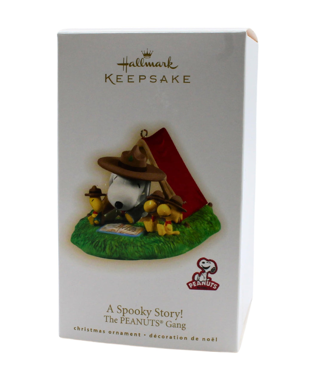 Hallmark Ornament N877595