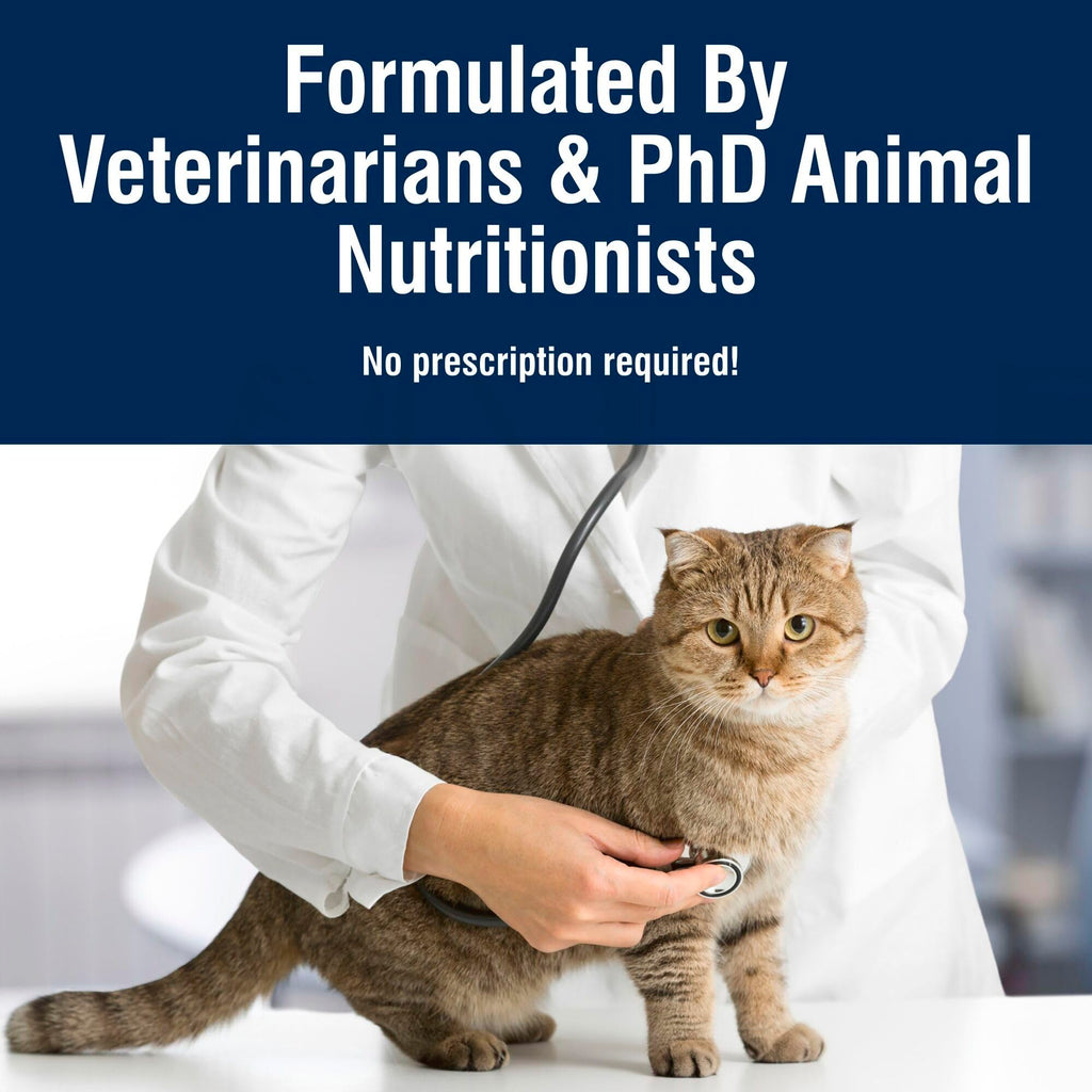 Weight Control Chicken Dry Cat Food, 11 lb P452