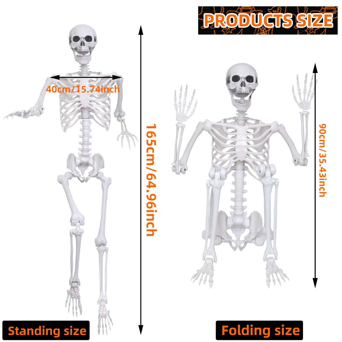 5.4Ft 2PCS Posable Skeleton with Movable Joints Z812617