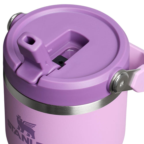 20 oz Lilac Flip Straw Tumbler B1361