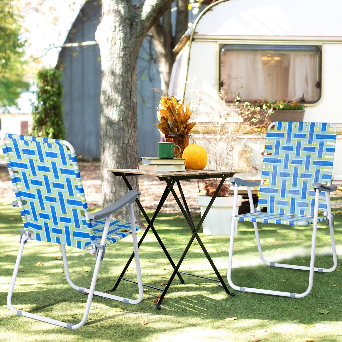 Folding Beach Chairs V6698