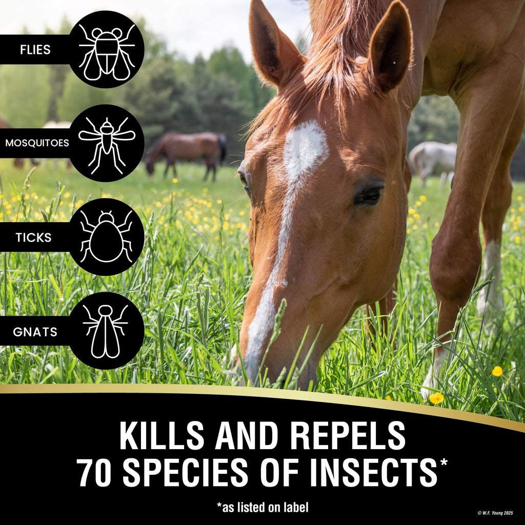 Insecticide & Repellent 128 fl oz N725