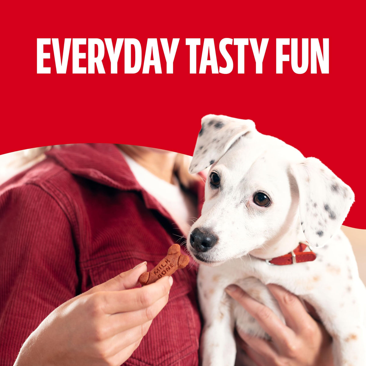 Soft & Chewy Dog Treats 25 Oz U6641