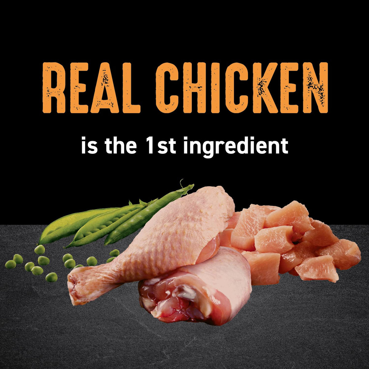Grain Free High Protein Natural Dry Cat Food, Chicken, 10 lb O80691