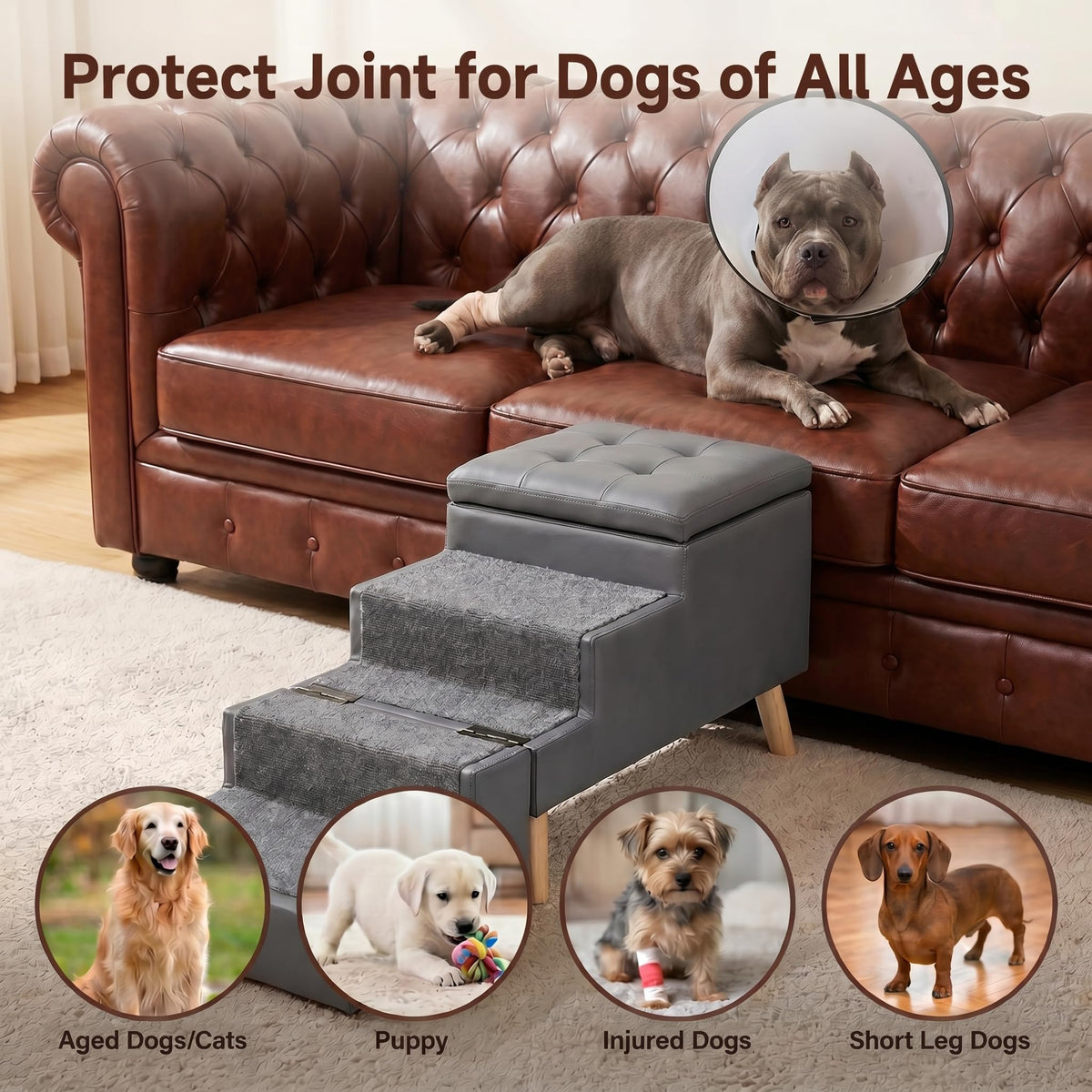 Leather Dog Stairs N322608