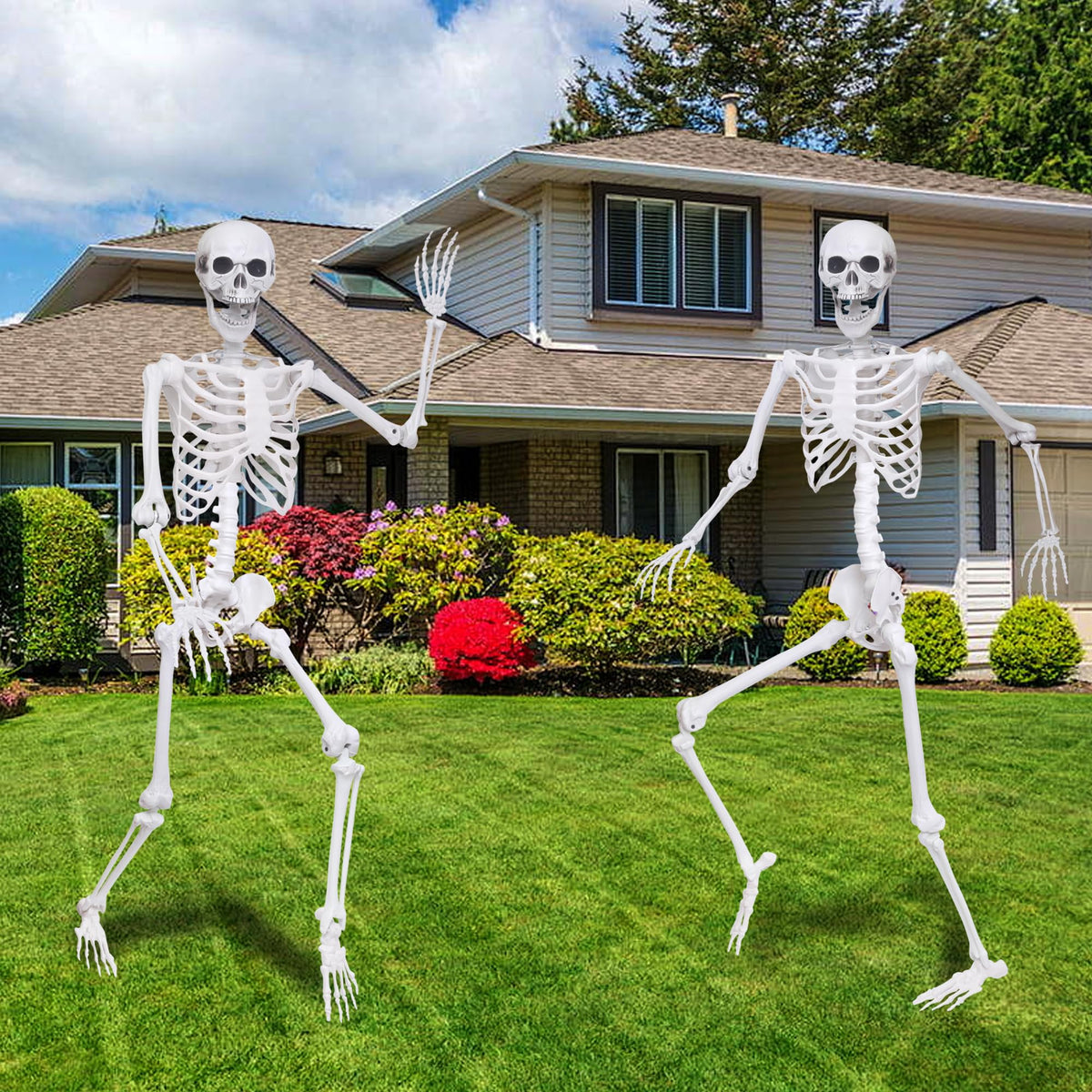 5.4Ft 2PCS Posable Skeleton with Movable Joints Z812617