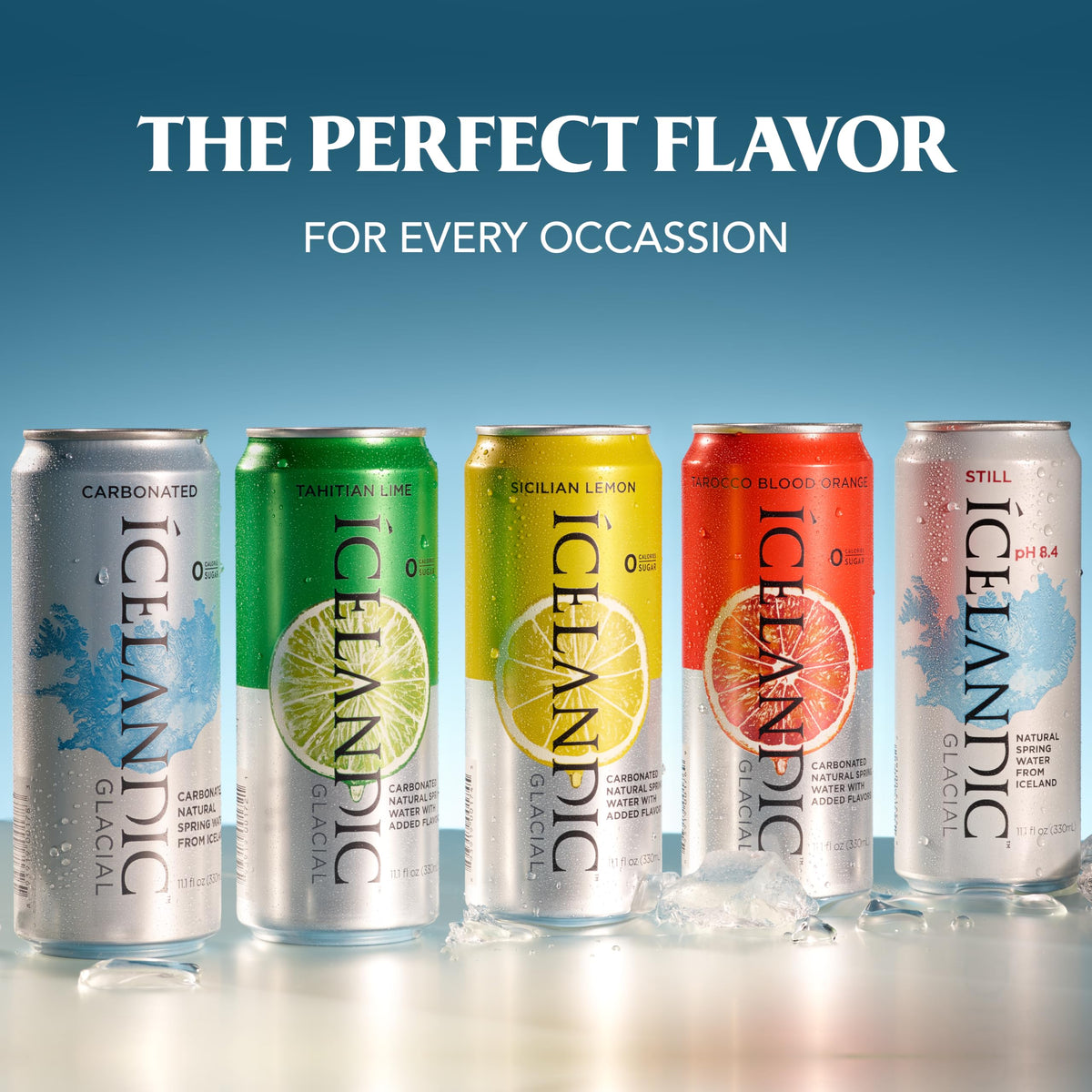 Sparkling Water 330 ml Cans Pack of 10 W89209